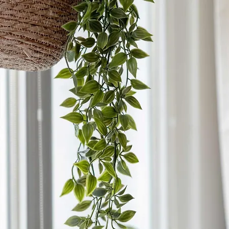 شقة Baltic 15 Minutes From The By Renters