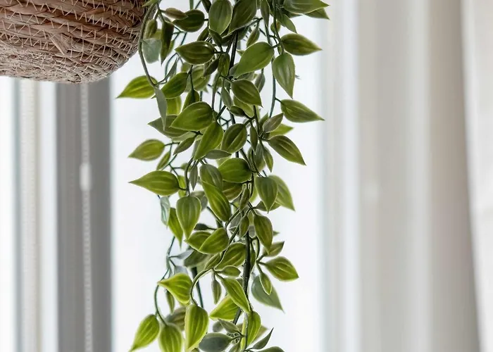 Apartament Baltic 15 Minutes From The By Renters